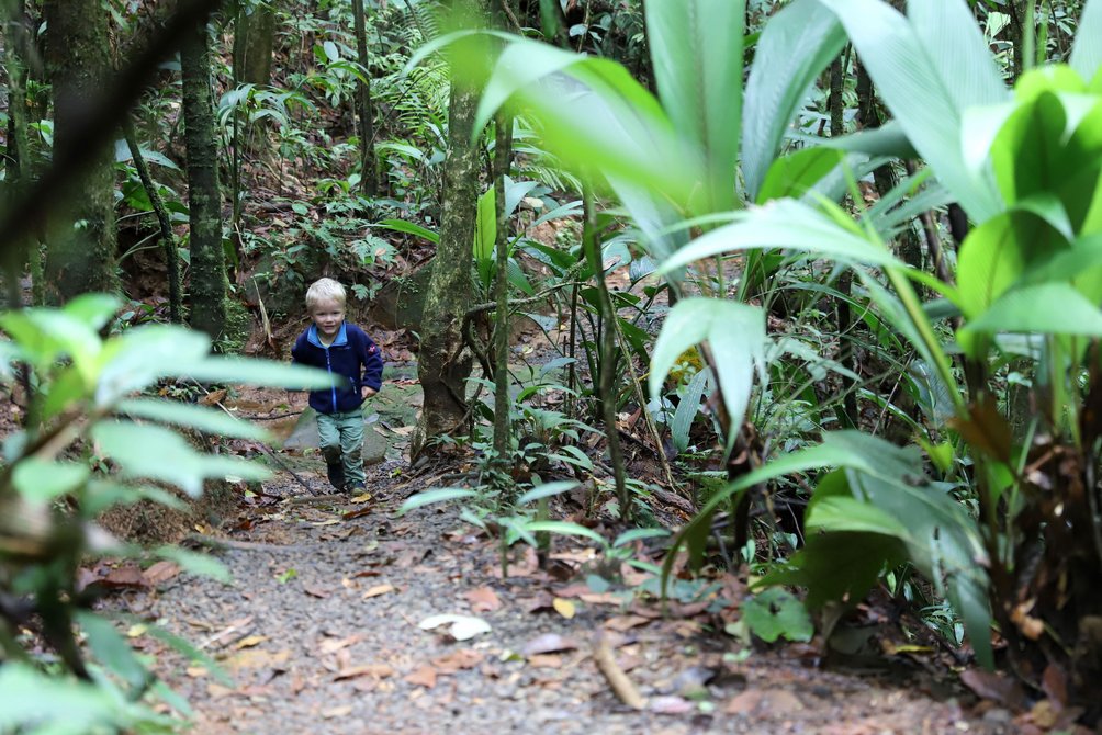 Costa Rica mit Kindern - Familienreise Costa Rica - Wanderwege La Tigra