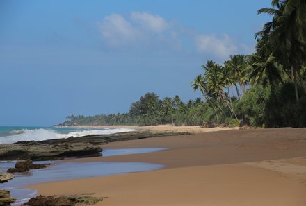 Sri Lanka for family Deluxe - Sri Lanka Individualreise mit Kindern - Palmen am Strand