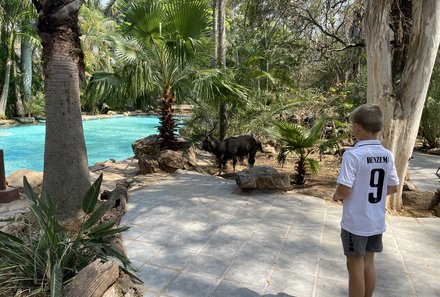 Südafrika mit Kindern - Südafrika for family - Makutsi Safari Farm - Zeit zur freien Verfügung am Pool