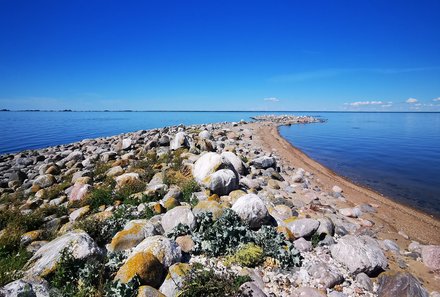 Familienreise Baltikum Family & Teens - Baltikum mit Kindern - Insel Sorgu Landschaft