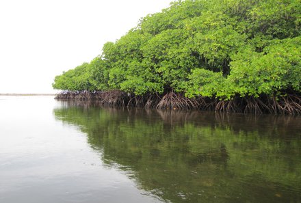 Java-Bali Family & Teens - Verlängerung auf Nusa Lembongan - Ausflug Mangrovenwald