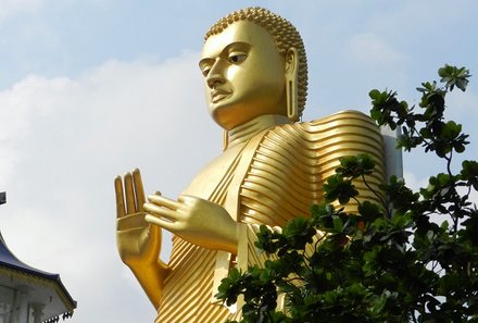 Sri Lanka for family individuell - Sri Lanka Individualreise mit Kindern - Dambulla Höhlentempel - goldene Statue