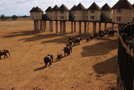 Kenia Familienreise - Kenia for family individuell - Best of Safari & Chale Island - Taita Hills - Salt Lick Safari Lodge