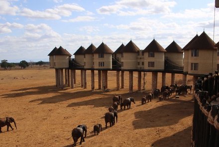 Kenia Familienreise - Kenia for family individuell - Taita Hills - Sarova Saltlick Lodge 