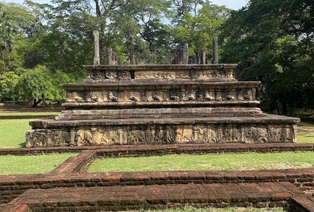 Sri Lanka for family individuell - Sri Lanka Individualreise mit Kindern - Polonnaruwa - bewachsene Ruinen