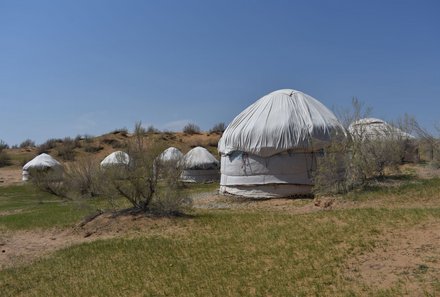 Usbekistan Familienreise - Nurata - Jurtencamp Zelte