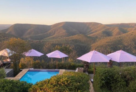 Garden Route Familienreise mit Kindern deluxe - Hog Hollow Country Lodge - Pool mit Panorama auf die Landschaft