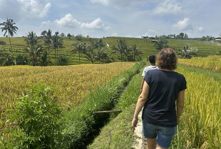 Bali mit Kindern - Bali for family - Spaziergang Reisfelder mit Guide