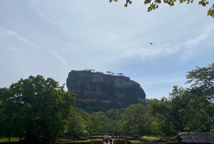 Sri Lanka mit Jugendlichen - Sri Lanka Summer Family & Teens - Blick auf Sigiriya-Felsen