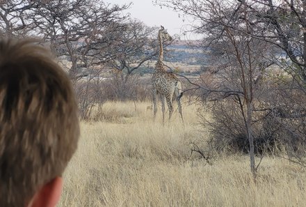 Familienreise Südafrika - Südafrika for family -best of safari - Entabeni Safari Conservancy - Kind beobachtet Giraffe