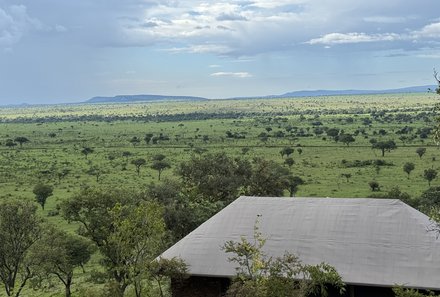 Serengeti mit Kindern individuell - Best of Familiensafari Serengeti - Blick ins Weite Grumeti