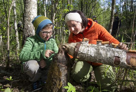 Estland Familienreise - Estland for family - Biberspuren am Baum