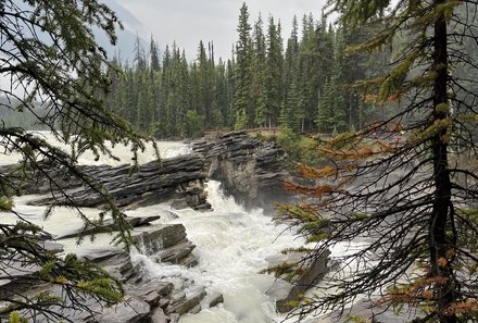 Westkanada Camping for family - Rocky Mountains mit Kindern - Wasserfall Athabasca