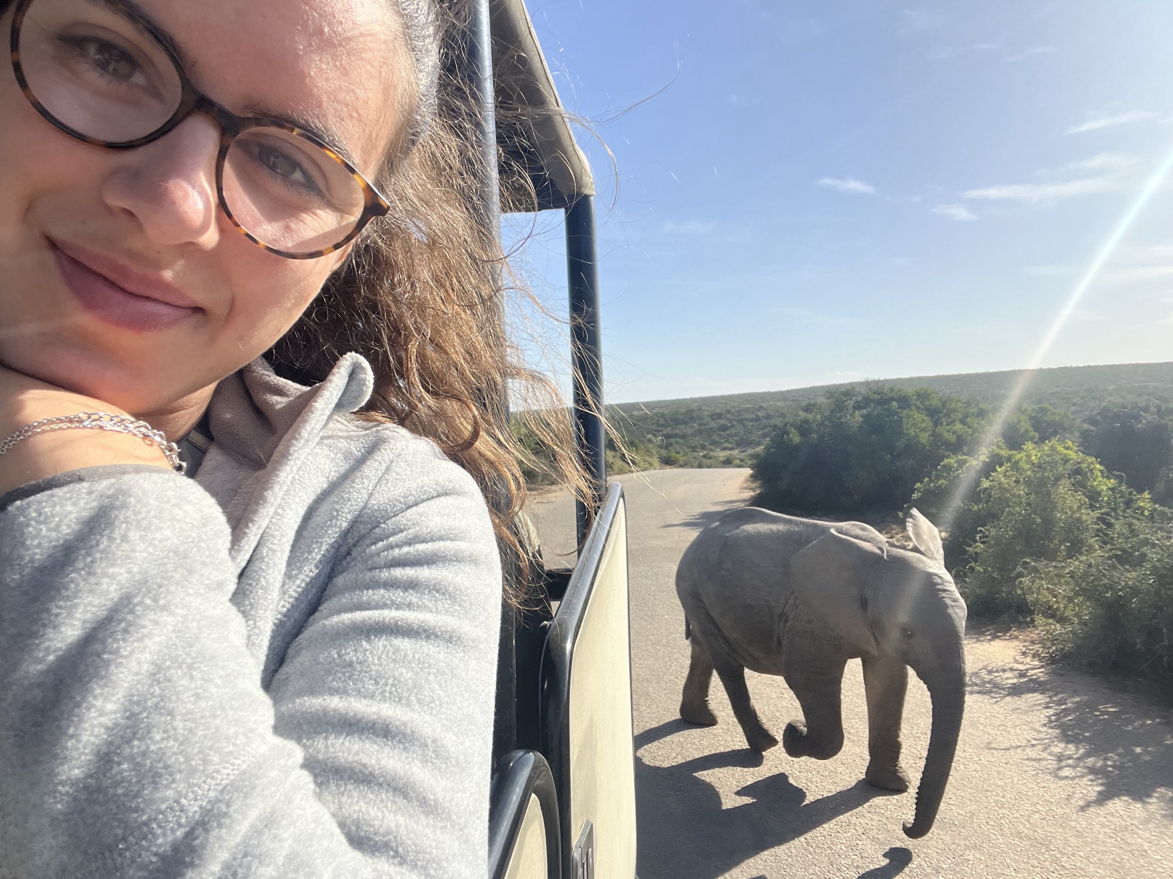 Urlaub mit Oma und Opa wohin - Fernreisen mit Enkeln - Südafrika Safari