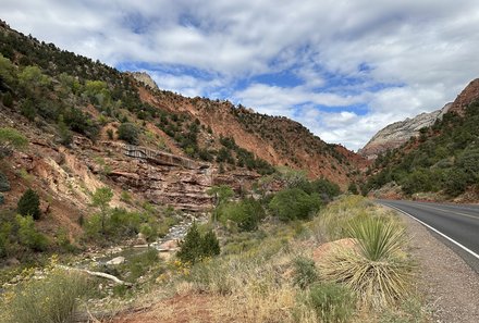 USA Südwesten mit Kindern - USA for family individuell - Kalifornien, Nationalparks & Las Vegas - Landschaft im Zion Nationalpark