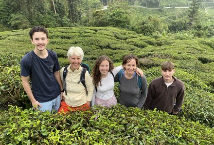 Familienreise Malaysia - Malaysia & Borneo Family & Teens - Familie im Teefeld in den Cameron Highlands