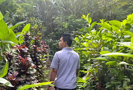 Bali mit Jugendlichen - Java & Bali Family & Teens - Spaziergang mit Guide durch die Natur