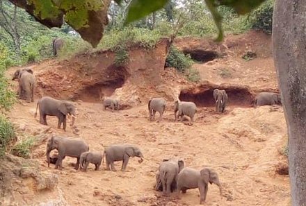 Tansania Familienreise - Tansania for family individuell - Familienabenteuer Tansania - Elephant Caves