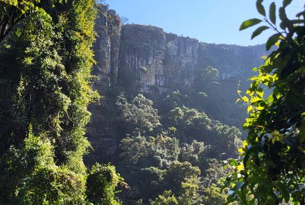 Südafrika Family & Teens - Südafrika Familienreise - Panorama Route - Graskop Gorge Lift - Landschaft