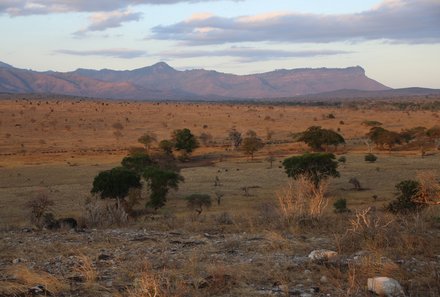 Kenia Familienreise - Kenia for family individuell - Landschaft bei Pirschfahrt