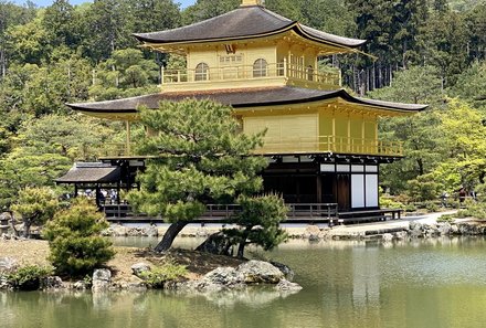 Japan mit Kindern  - Japan for family - Goldener Tempel Kyoto von Außen