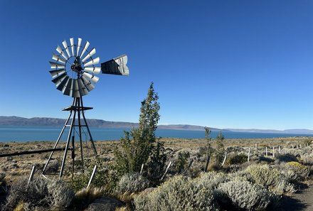 Patagonien Family & Teens -  El Calafate - Windrad