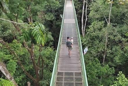 Malaysia mit Kindern - Malaysia Urlaub mit Kindern - Skywalk im Rainforest Discovery Centre