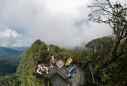 Familienreise Malaysia - Malaysia & Borneo Family & Teens - Mossy Forest von oben