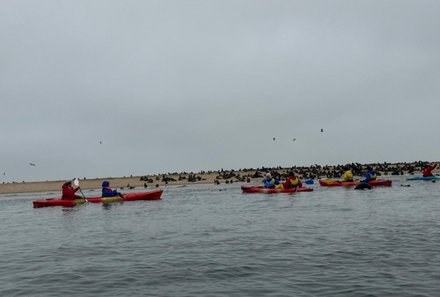 Namibia Familienreise individuell - Swakopmund - Kajaktour Walvis Bay