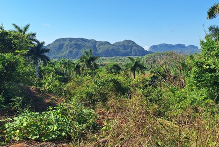 Kuba for family - Vinales Tal - Landschaft