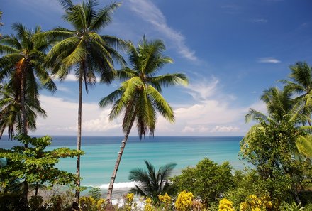 Familienreise Costa Rica - Costa Rica Family & Teens - Strand mit Palmen