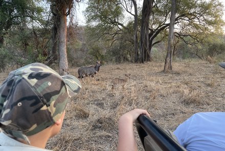 Südafrika mit Kindern - Südafrika for family - Makutsi Safari Farm - Kids im Jeep zu Antilopen