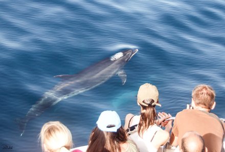 Andalusien for family - Familienreise Andalusien - Kinder beobachten Delfin