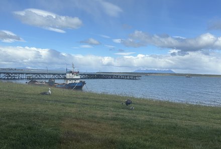 Patagonien Family & Teens - Puerto Natales - Schiff