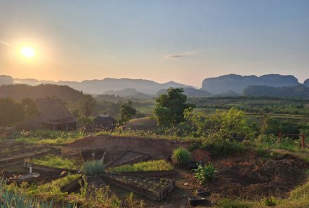 Kuba for family - Vinales - Feld mit Sonnenuntergang