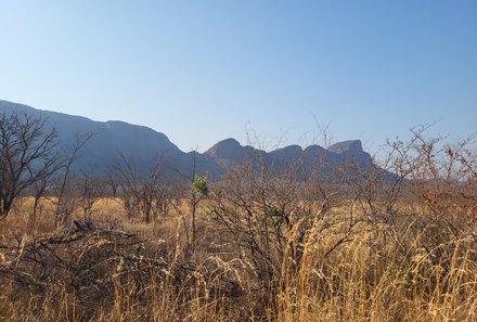 Südafrika individuelle Familienreise - Safari & Strand - Entabeni Safari Conservancy - Landschaft