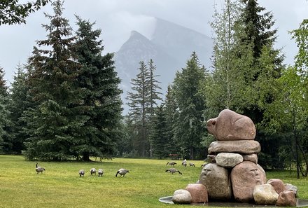 Westkanada Camping for family - Rocky Mountains mit Kindern - Banff Wiese