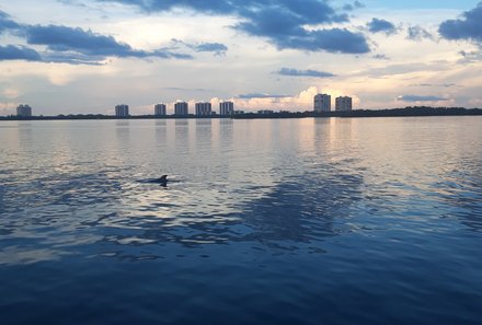 Florida Familienreise - Florida for family - Bootsfahrt zu Delfinen