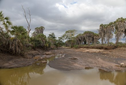 Kenia Familienreise - Kenia for family individuell deluxe - Mzima Springs - Landschaft