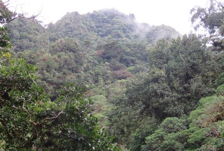 Panama for family individuell - Panama Familienreise - Regenwald in Panama