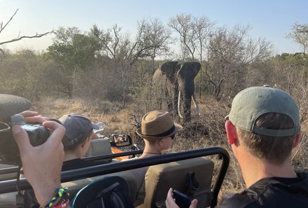 Südafrika mit Kindern - Südafrika for family - Makutsi Safari Farm - Kids im Jeep zu Elefanten