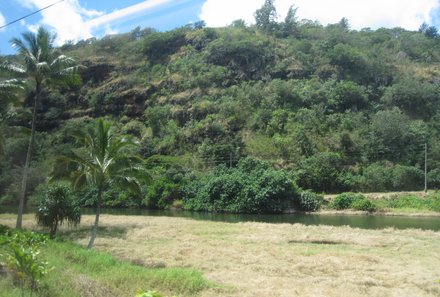 Hawaii Inselhopping for family individuell - Familienreise Hawaii mit Kindern - Grüne Landschaft