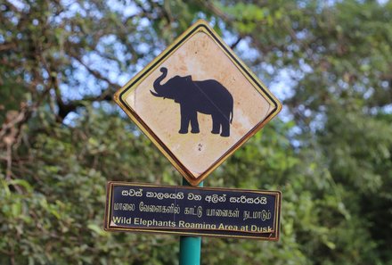 Sri Lanka mit Jugendlichen - Sri Lanka Summer Family & Teens - Straßenschild mit Elefant