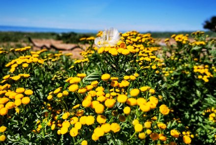 Familienreise Baltikum Family & Teens - Baltikum mit Kindern - Flora Insel 