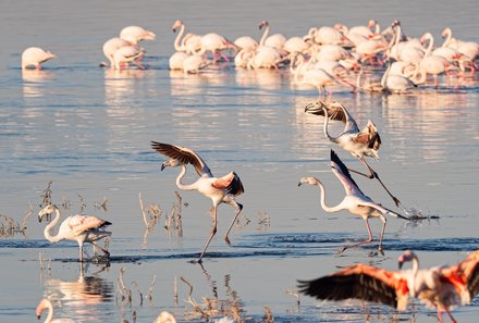 Botswana Familienreise - Botswana Family & Teens - Nata - Bird Sanctuary