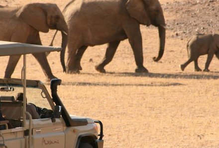 Namibia Deluxe Familienreise individuell - Camp Kipwe - Pirschfahrt zu den Wüstenelefanten