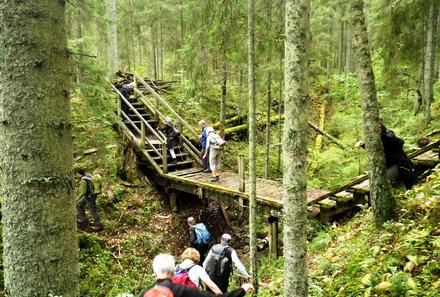 Familienreise Baltikum Family & Teens - Baltikum mit Kindern - Lettland - Gruppe im Gauja Nationalpark