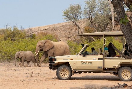 Namibia Deluxe Familienreise individuell - Camp Kipwe - Jeeptour mit Wüstenelefanten