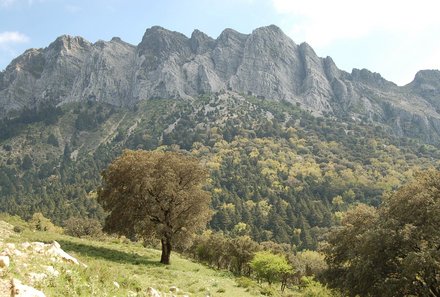 Andalusien for family - Familienreise Andalusien - Grazalema Berge