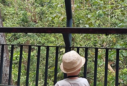 Familienurlaub Malaysia & Borneo - Malaysia & Borneo for family individuell - Orang-Utan Rehabilitationszentrum - Kind hält Ausschau nach Affen